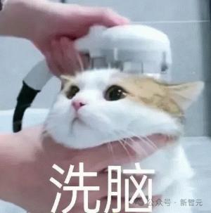 谷歌DeepMind:GPT-4高阶心智理论彻底击败人类,第6阶推理讽刺暗示全懂了