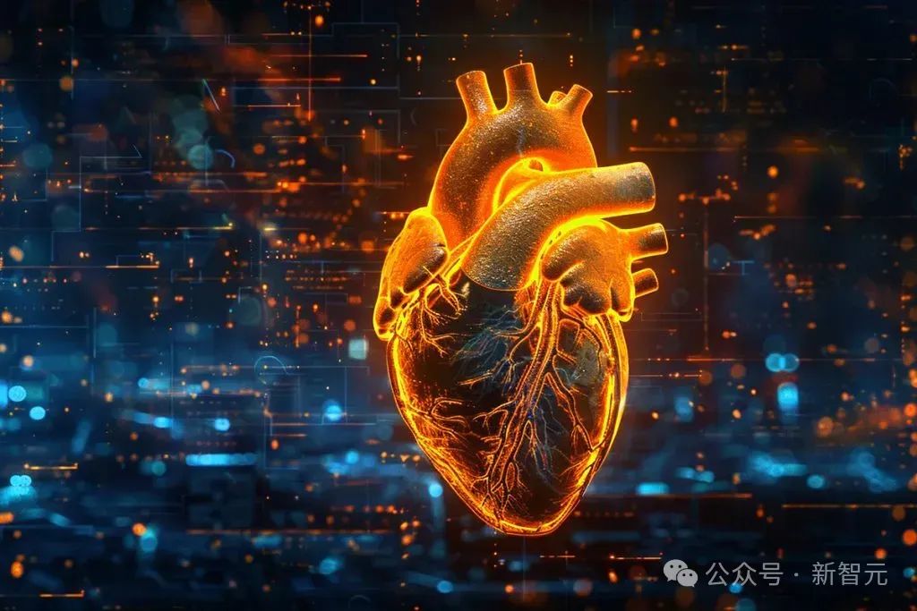 AI视觉算法登柳叶刀!看CT提前10年预测致命心脏疾病,已进入临床使用