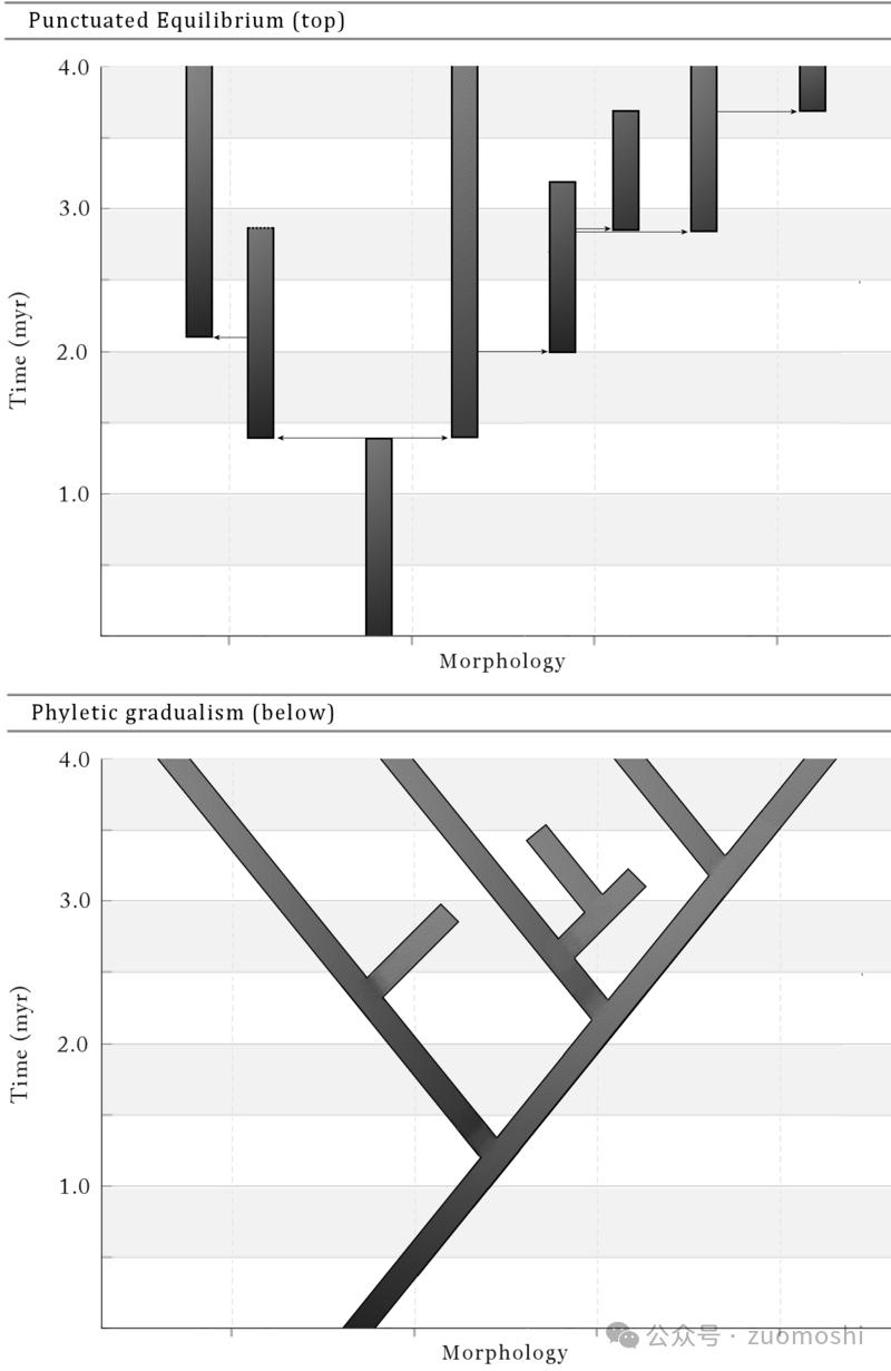 水温80度:AI行业真假繁荣的临界点
