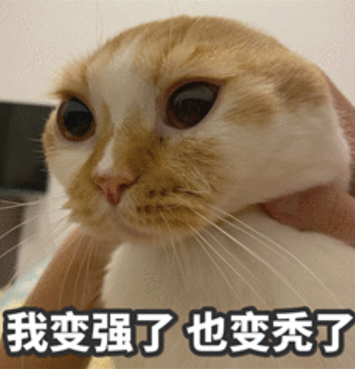 11位AI考生,正在埋头苦写2024年高考作文……