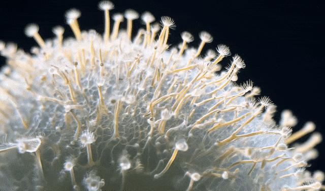 王者归来:AI视频巨头Runway深夜发布Gen-3,演示暴打Sora惊艳网友