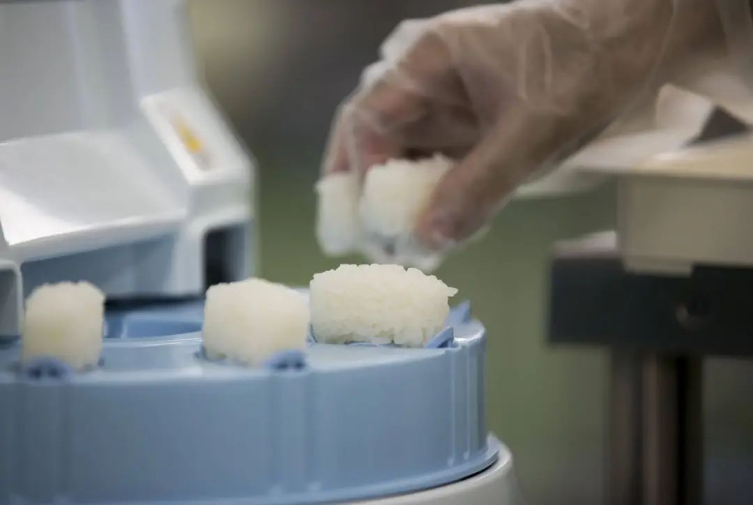 AI 在餐饮界也卷出了“萝卜快跑”,打饭比食堂阿姨手稳,炒菜接近大厨