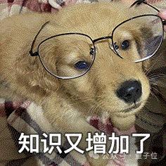 GPT-4o mini凭什么登顶竞技场?OpenAI刷分秘诀被扒,原来奥特曼早有暗示