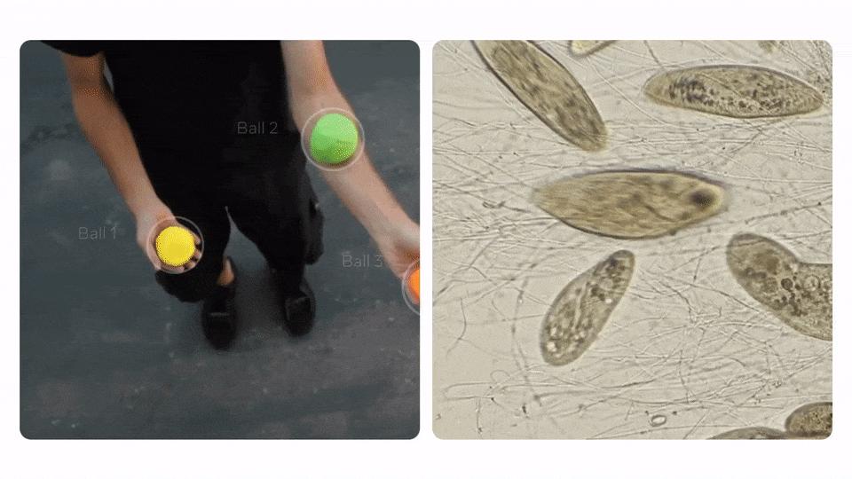 CV又不存在了？Meta“分割一切”2.0正式开源，视频也能分割了