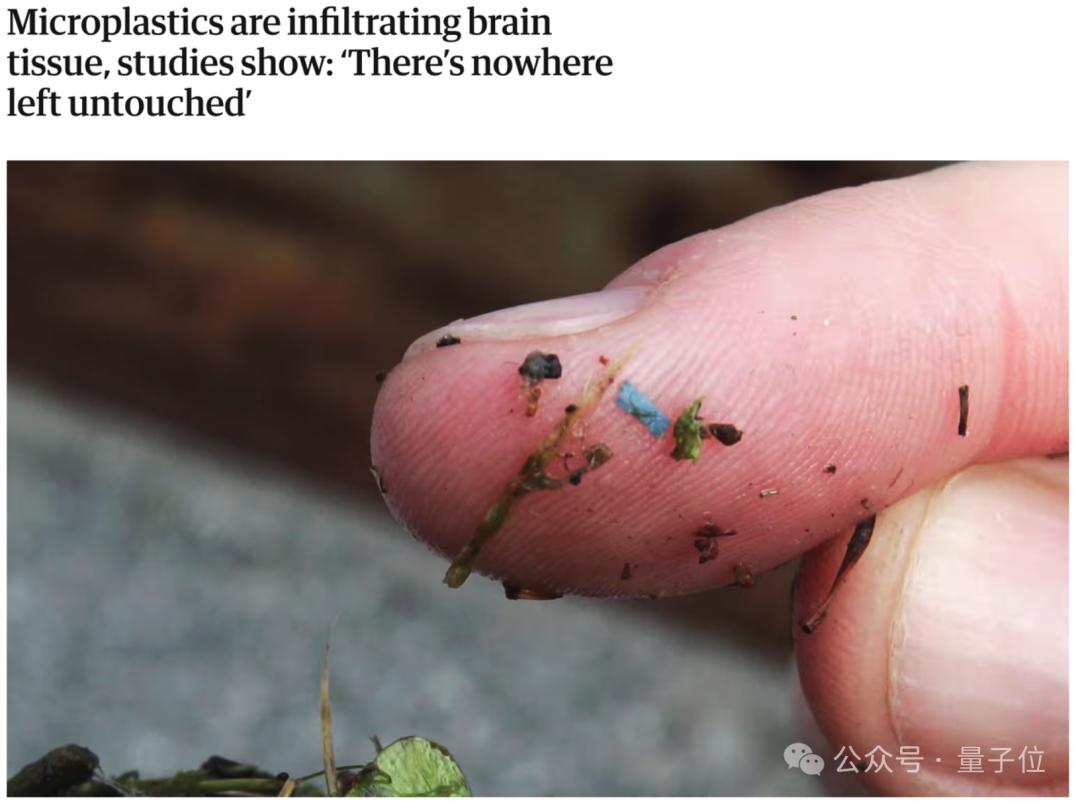 让Karpathy倍感意外的研究:人类大脑已被塑料污染
