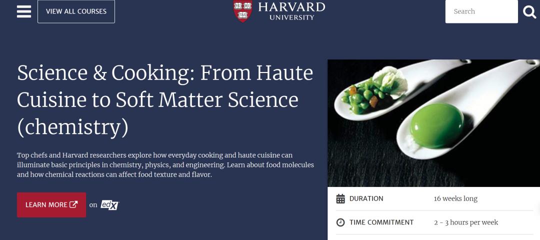 陶哲轩力荐,哈佛反向学习法火了:教会AI就是教会自己