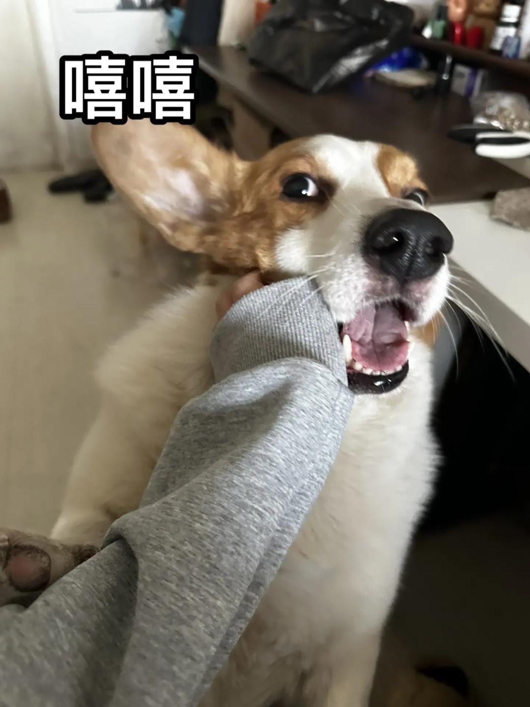 Claude认出自画像,惊现自我意识,工程师多轮测试,实锤AI已过图灵测试?