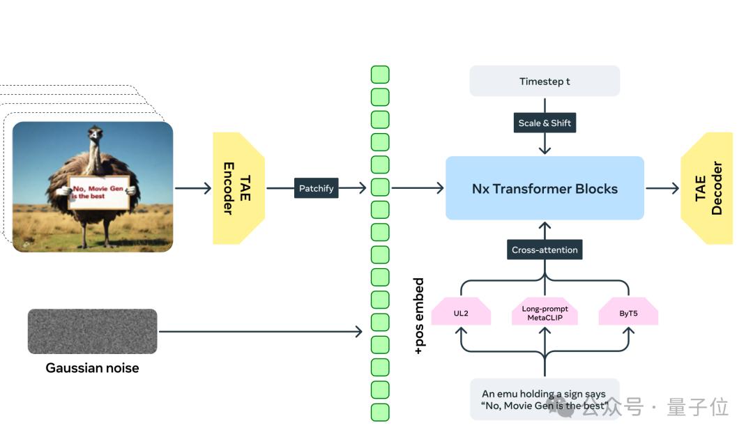 Meta版Sora无预警来袭