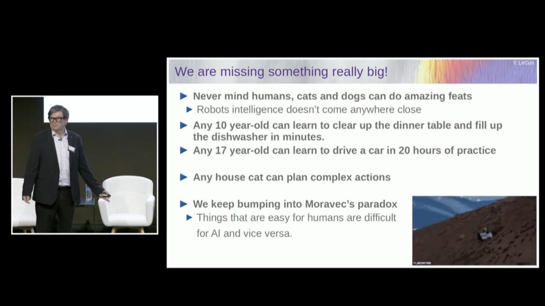 图灵奖得主 Yann LeCun 万字演讲:今天的 AI 比猫还笨,自曝早已放弃大模型