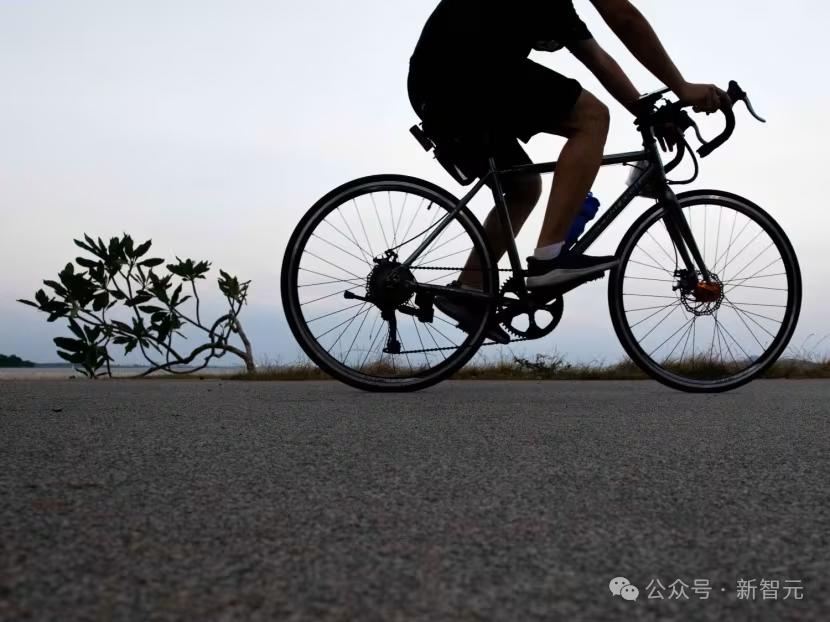 Transformer打破三十年数学猜想,Meta研究者用AI给出反例,算法杀手攻克数学难题