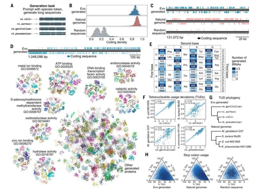 Science最新封面:AI大模型跨越物种边界、解码生命“密码全书”,基因组学进入全新时代