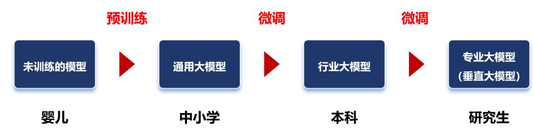 写给小白的大模型入门科普