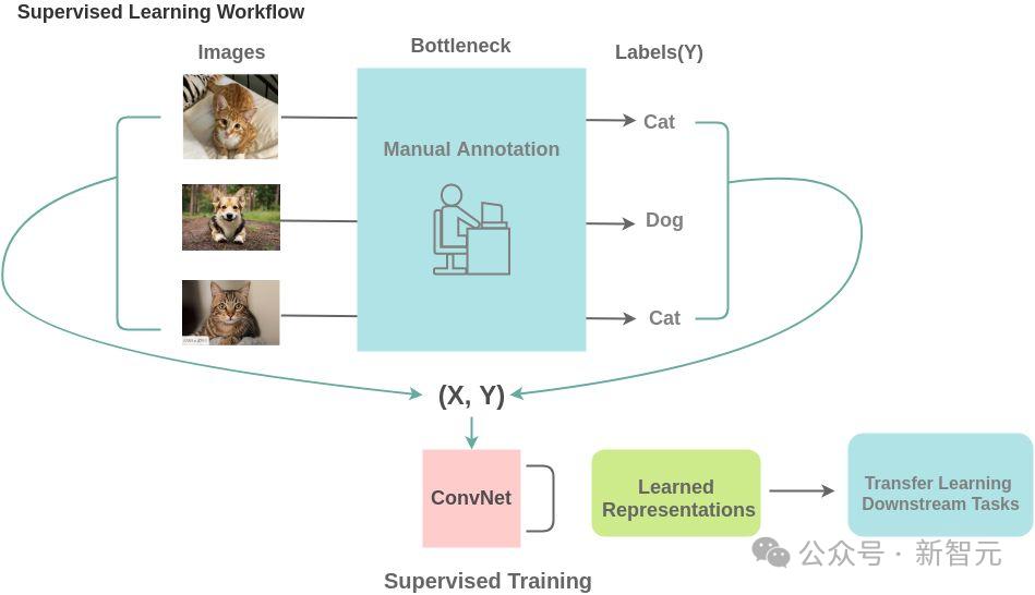 惊天反转,LeCun竟与奥特曼达成共识:承认AGI 5到10年降临,但LLM注定死路一条