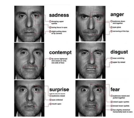 预测犯罪,提前逮捕,科幻片要变成现实了?