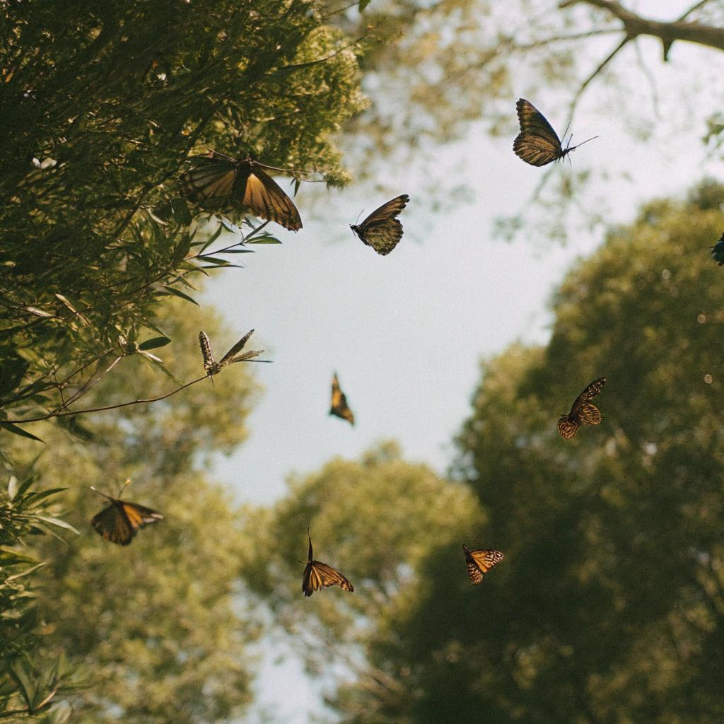 一秒变身Hello Kitty整顿职场,这个AI工具能把一切都变成 CCD