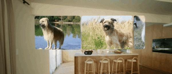 XR一夜变天,谷歌“重做安卓”!三星MR头显亮牌,硬刚苹果