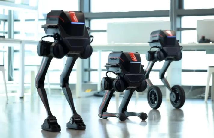 具身江湖,成为大疆还是特斯拉?