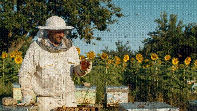 谷歌版Sora来了,4K高清暴击OpenAI,视频生图新卷王,更理解物理世界