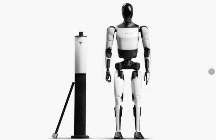 机器人开始“选秀”