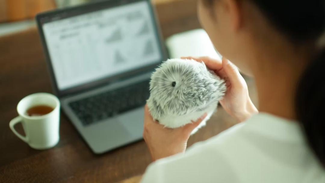 卖断货的「AI宠物」,击中当代孤独年轻人