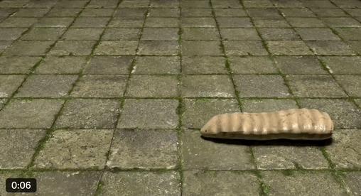 刚刚,AI颠覆物理模拟:一句话精准仿真,学术圈半壁江山联手耗时24个月研究成果