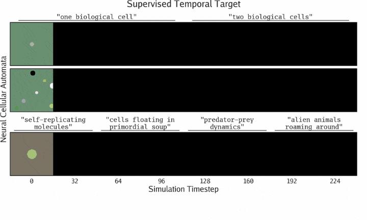 MIT、OpenAI等震撼力作:AI首次自主发现人工生命,人类窥见上帝造物