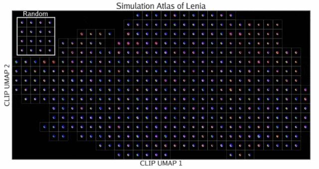 MIT、OpenAI等震撼力作:AI首次自主发现人工生命,人类窥见上帝造物