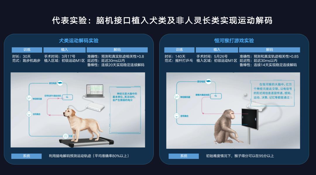 脑机接口和 AI，一个硬币的两面