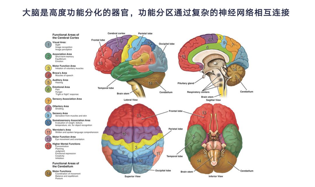 脑机接口和 AI，一个硬币的两面