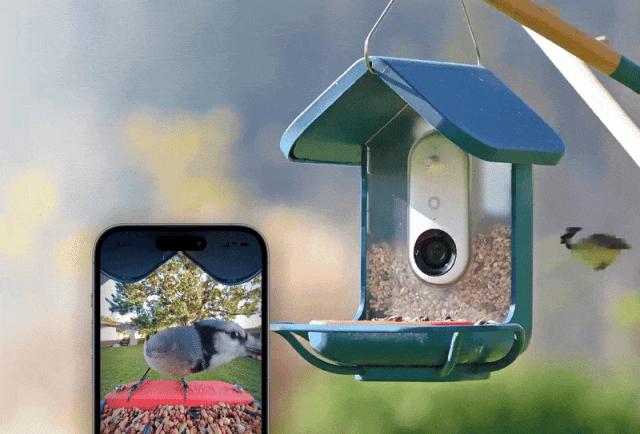 CES 2025：井喷的AI陪伴与AI眼镜