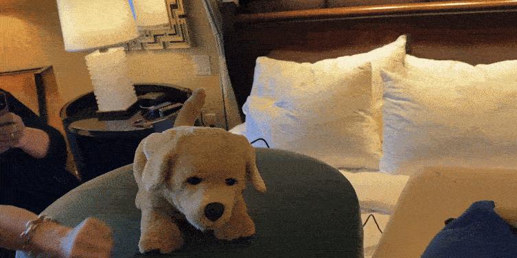 CES 2025：井喷的AI陪伴与AI眼镜