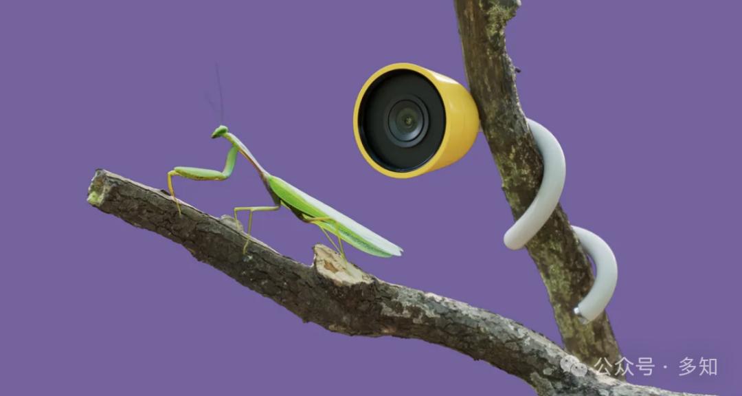 CES 2025：井喷的AI陪伴与AI眼镜