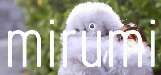 CES 2025：井喷的AI陪伴与AI眼镜