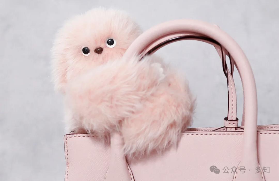 CES 2025：井喷的AI陪伴与AI眼镜