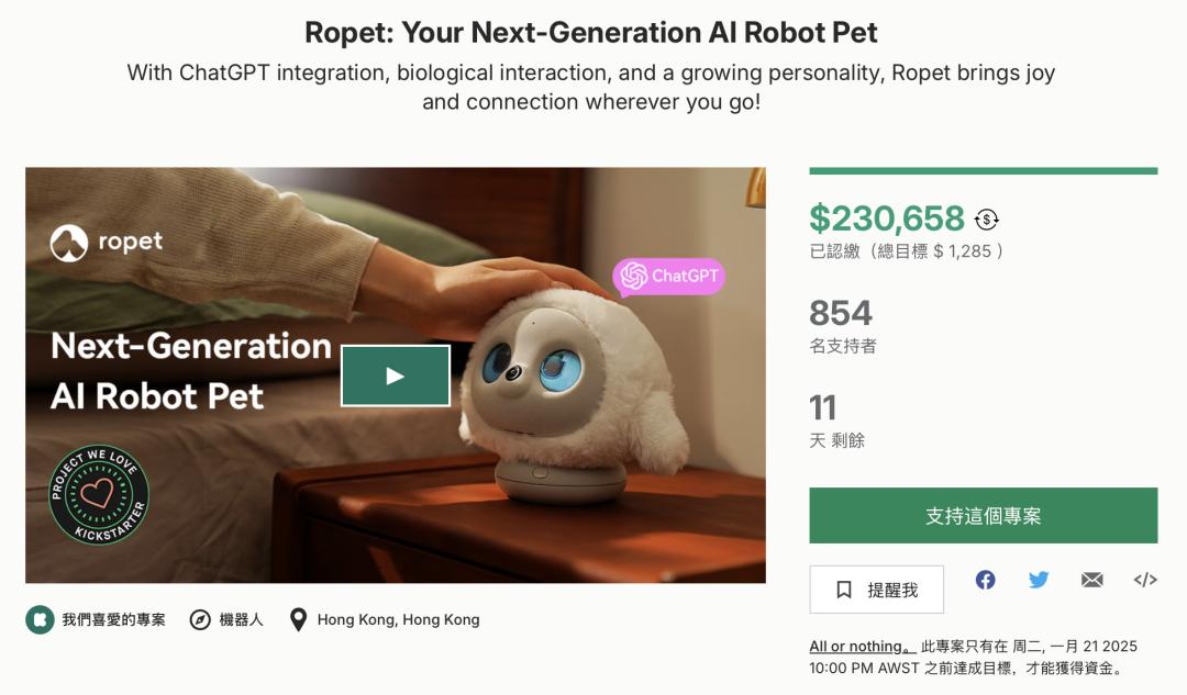 一个毛绒“宠物”,凭什么成为2025年第一个爆款产品