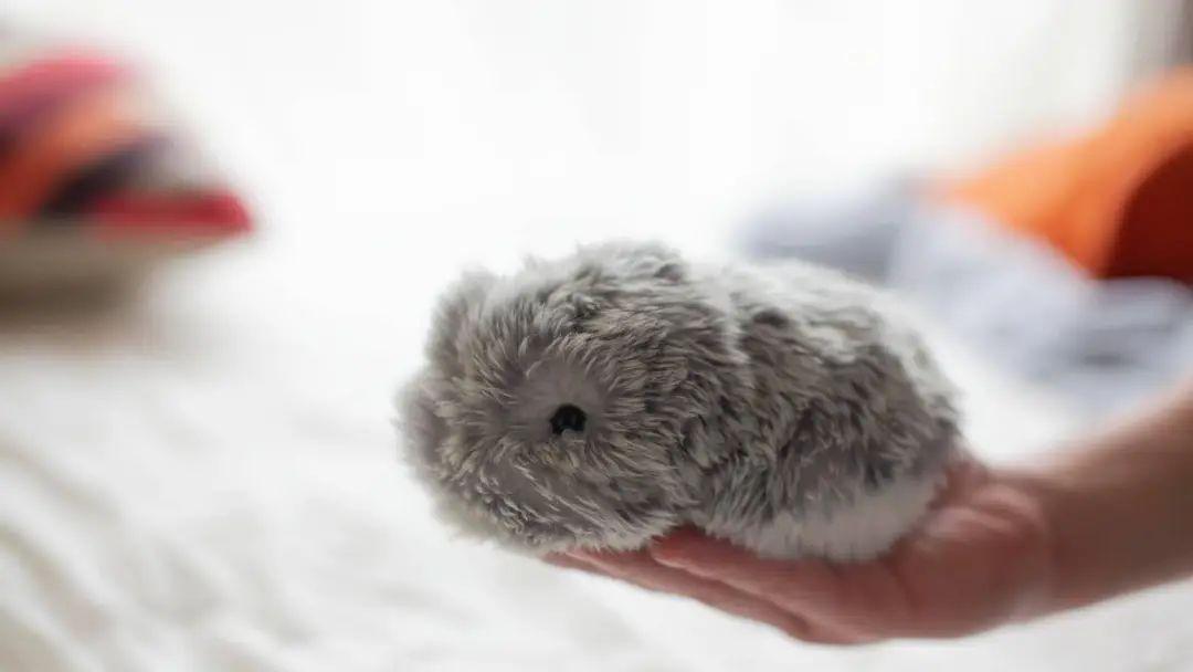 一个毛绒“宠物”,凭什么成为2025年第一个爆款产品