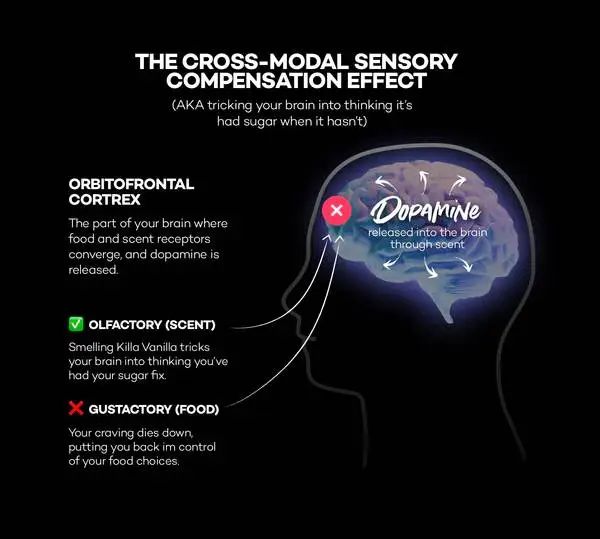 一个毛绒“宠物”,凭什么成为2025年第一个爆款产品